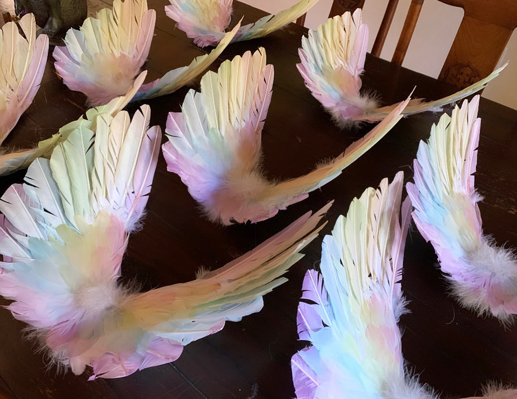 Designer Made Floating Wings in Pastel Rainbow