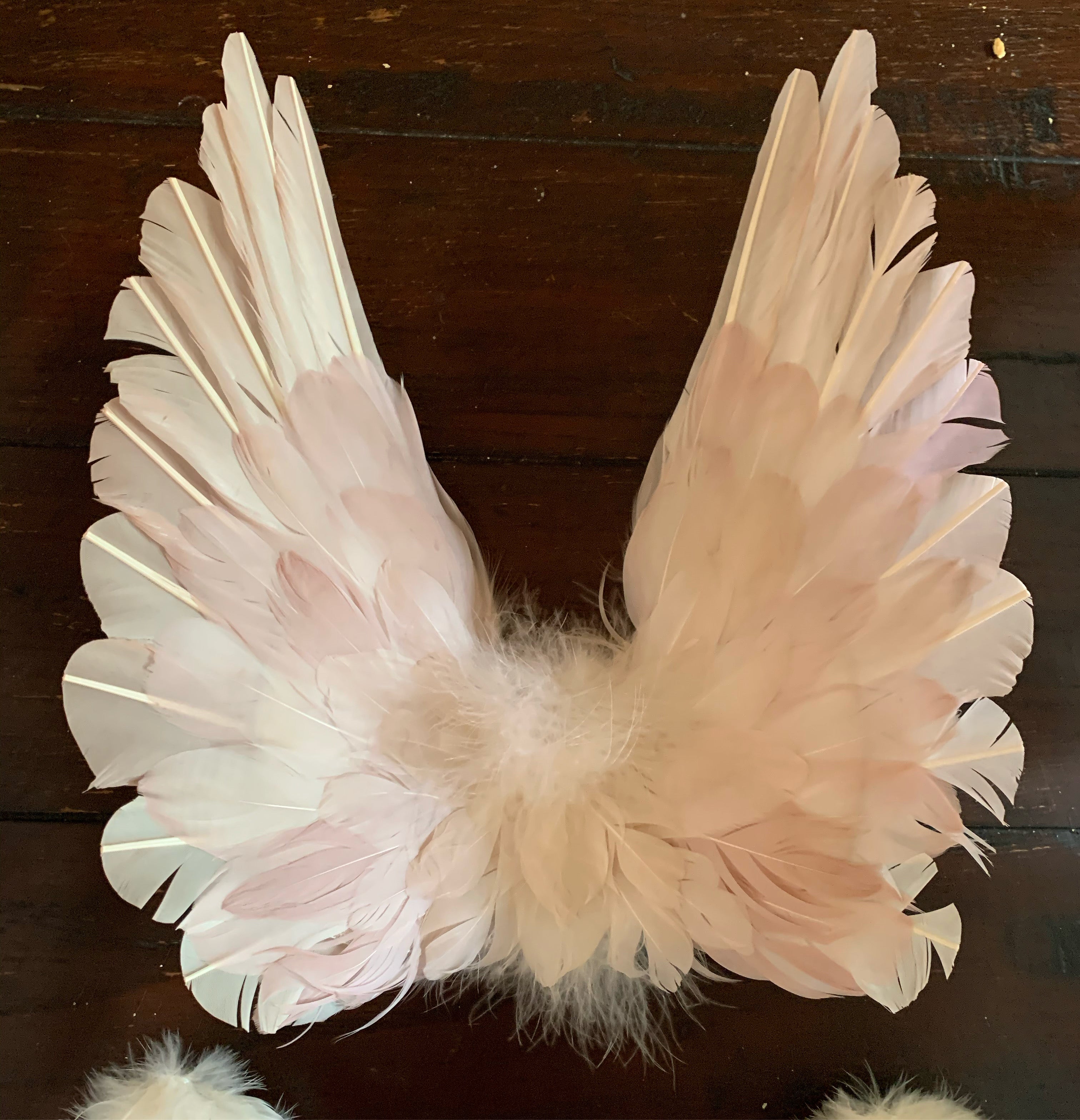 Designer Made Floating Wings in Blush Peach