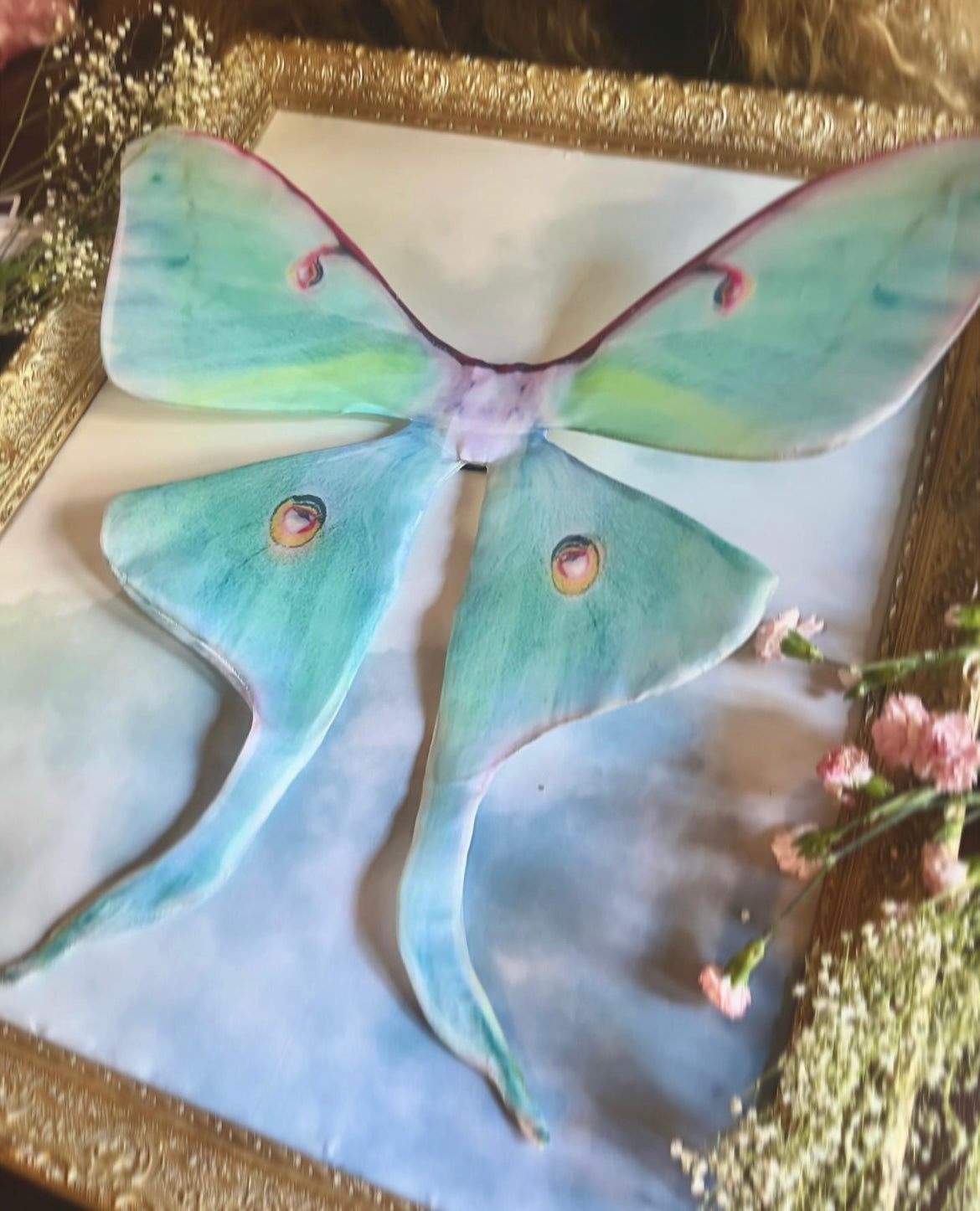 Luna Moth Floating Wings