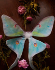 Luna Moth Floating Wings - Pre Order
