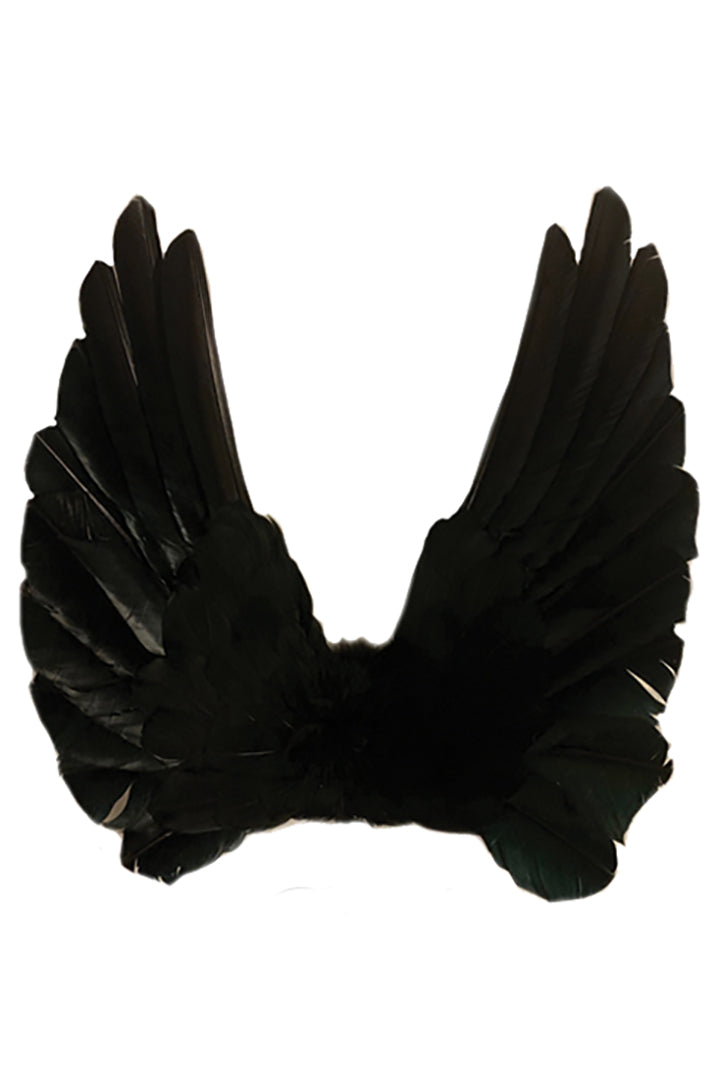Designer Made Floating Wings in Black