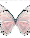 Rosewater Pink Floating Butterfly Wings