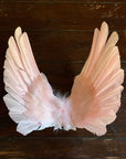 Floating Wings in Gallah Pink Direct
