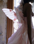 Rose Garden Faery Wings