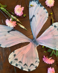 Rosewater Pink Floating Butterfly Wings