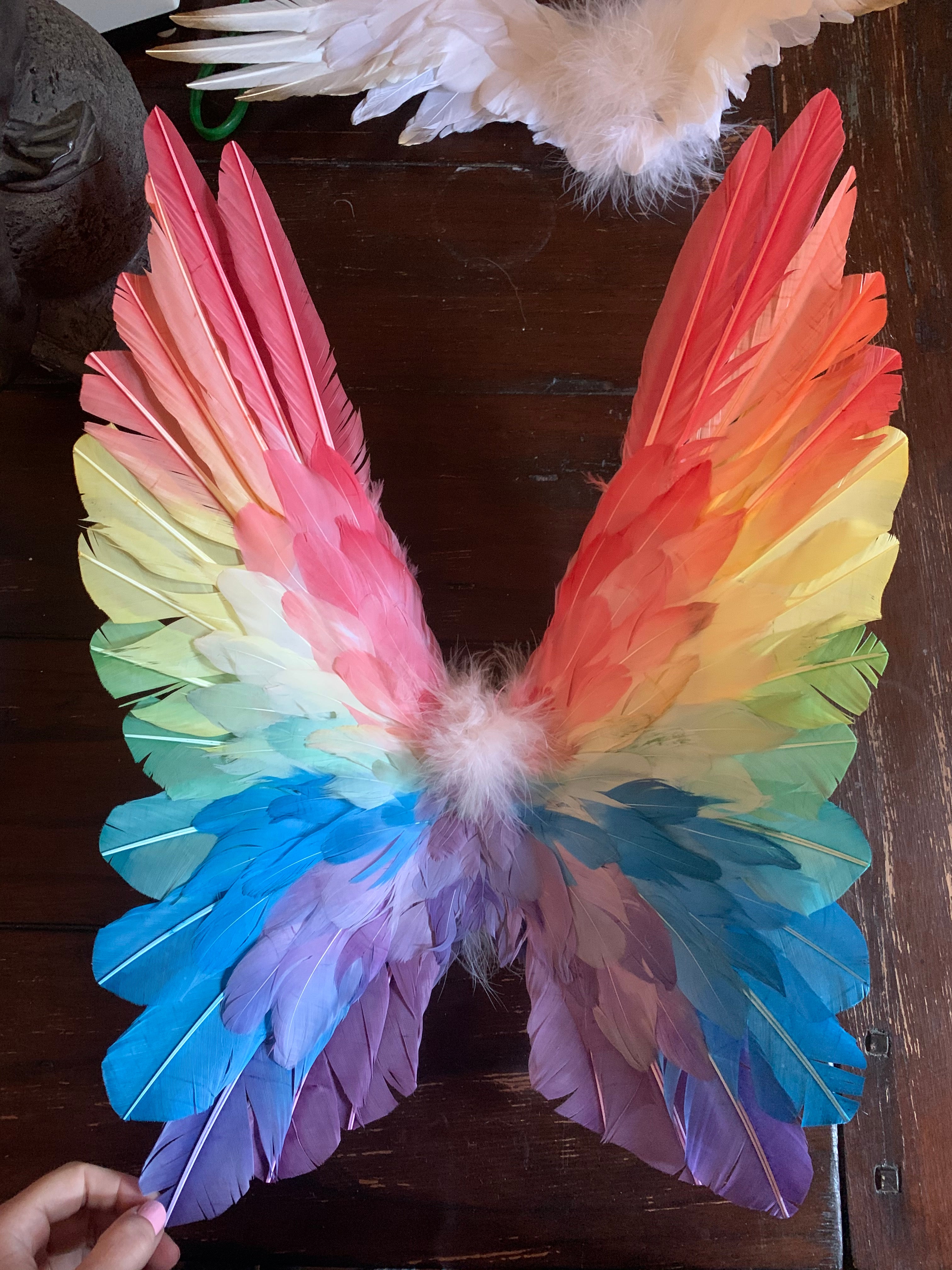 Designer Made Floating Wings in Pastel Rainbow