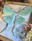 Luna Moth Floating Wings