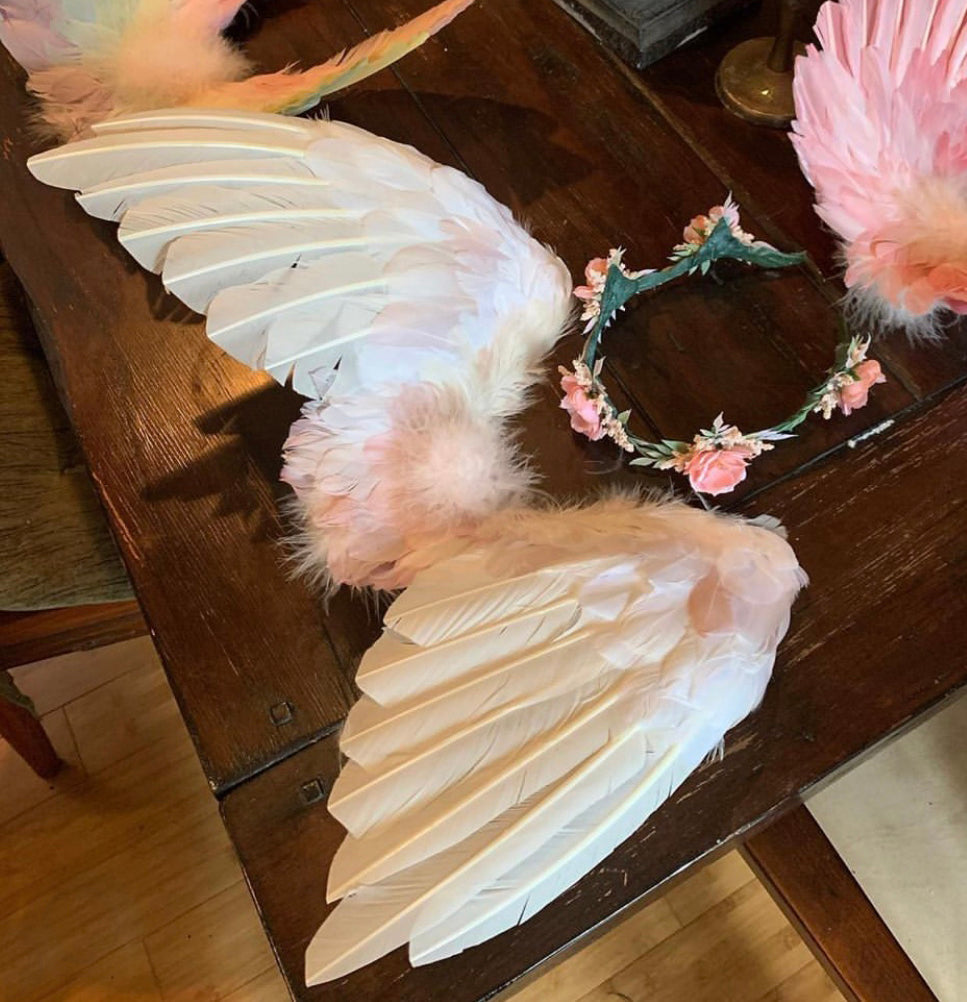 Designer Made Floating Wings in Dove