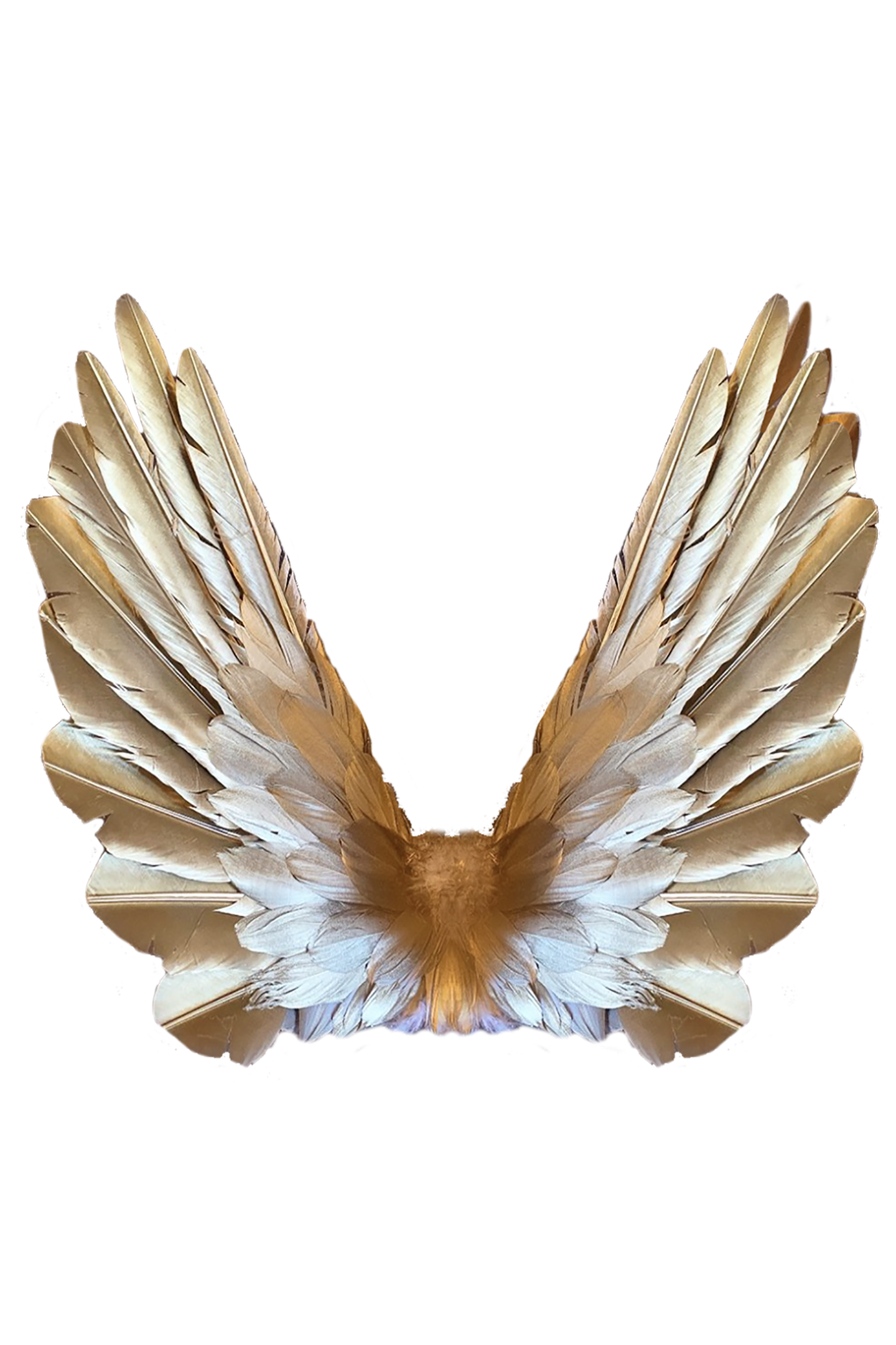 Designer Made Floating Wings in Gold