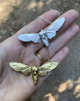 Botticelli Cicada Necklace
