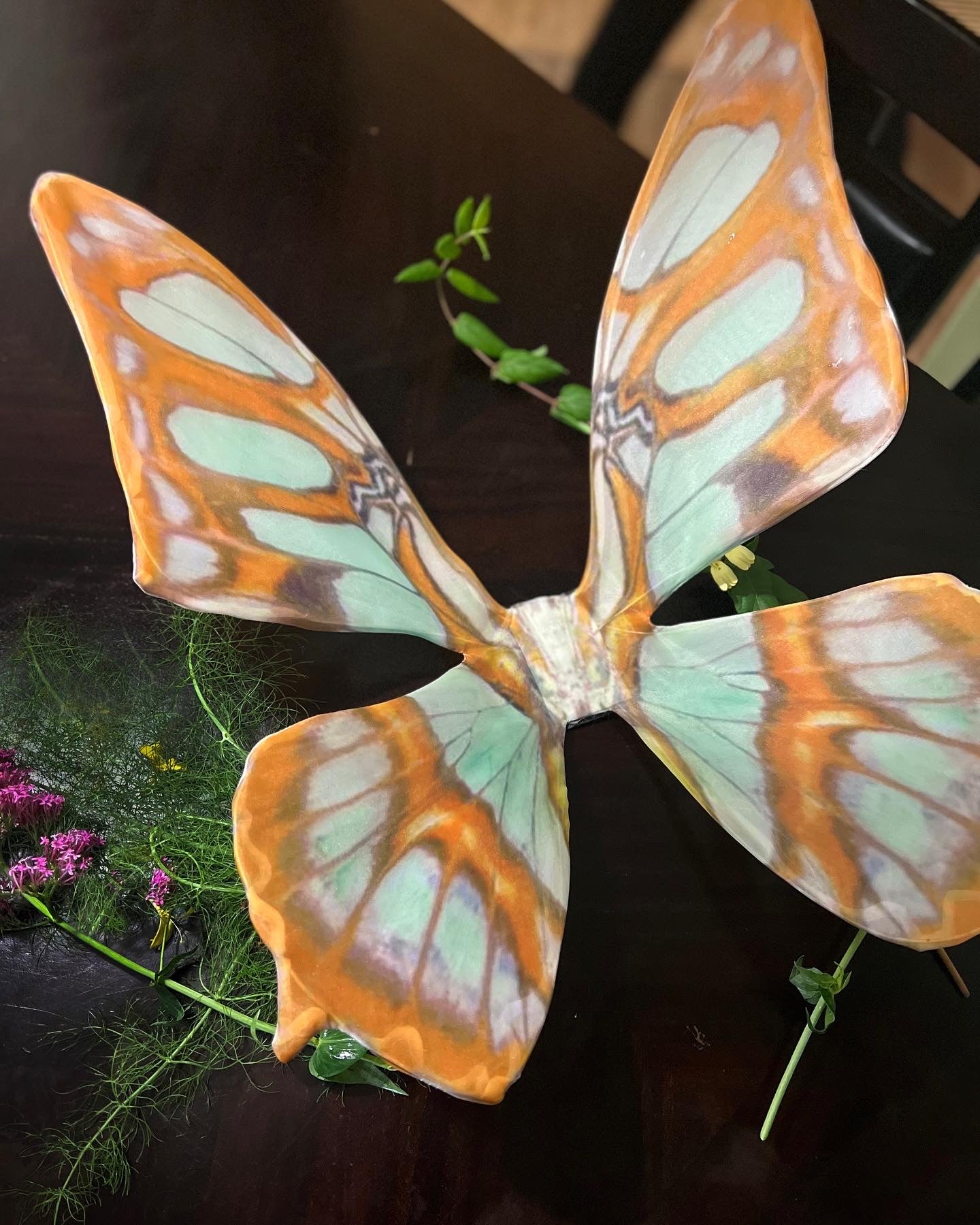 Siproeta Stelenes Floating Butterfly Wings