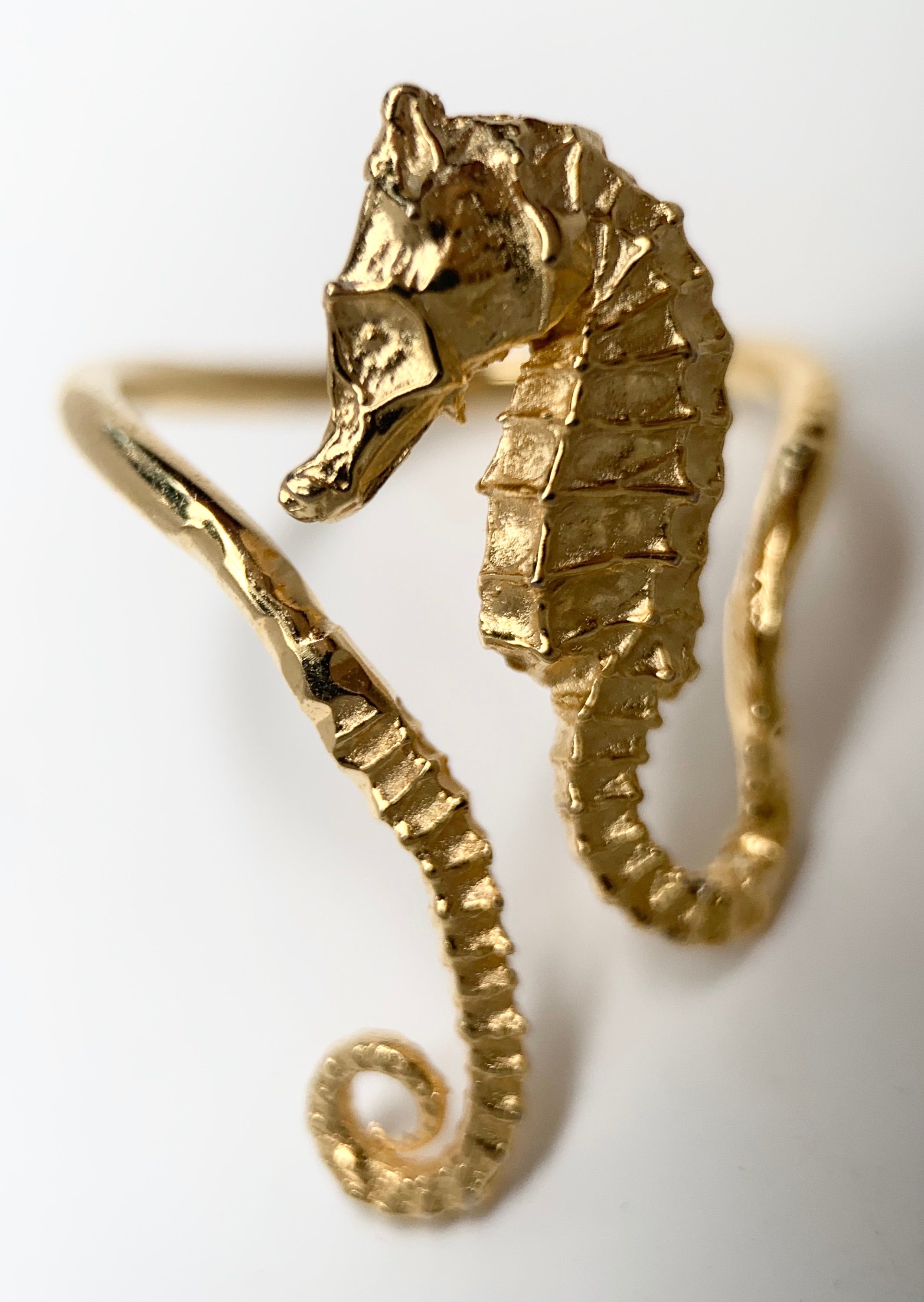 The Seahorse Ring