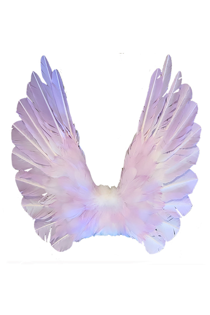 Designer Made Floating Wings in Lavender